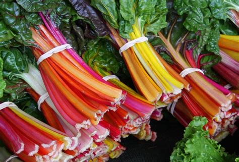 Rainbow Swiss Chard Salad — 52 Sunday Dinners