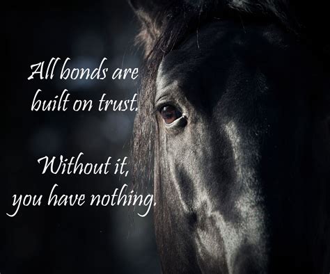 Best Friend Horse Bond Quotes - Quotes