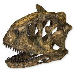 Carnotaurus Skull 1/4 Size (Teaching Quality Recreation)- Buy Online in ...