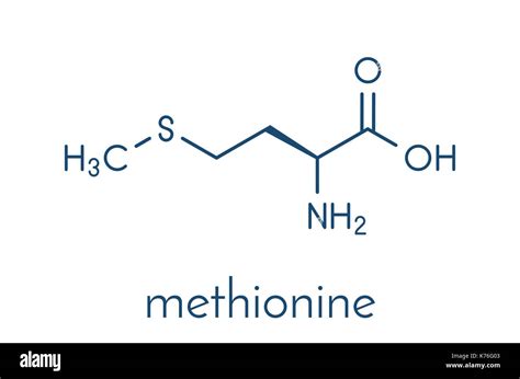 Methionine Lewis Structure