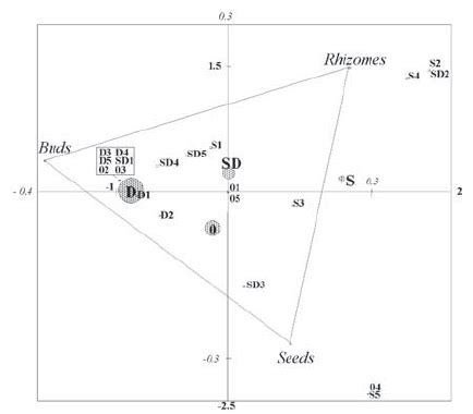 Dependence of different propagule types of Potamogeton pusillus in ...