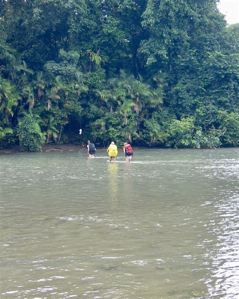 Osa Peninsula Drake Bay - TOURISM INFORMATION CENTER