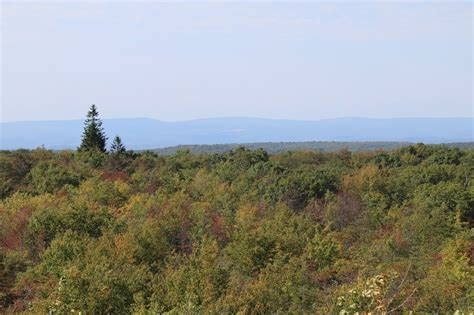 Views from PA's Highest Place: Mt. Davis in Autumn | Interesting ...