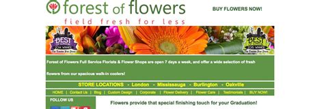 Best place to get flowers | Florists London Ontario