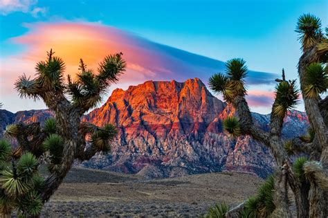 Las Vegas Red Rock Canyon - A Spectacular Desert Wonderland near Las ...