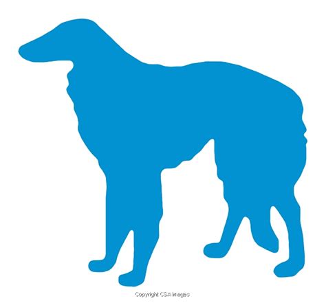 Borzoi Dog Silhouette | #C775780C | CSA Images