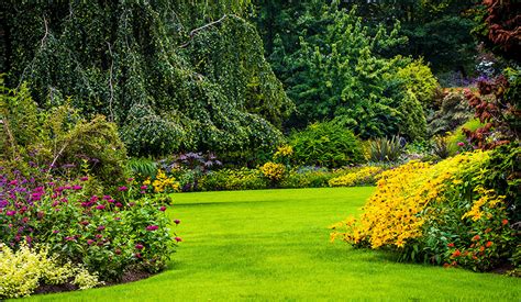 Fonds d'ecran Canada Jardins Queen Elizabeth Garden Vancouver ...