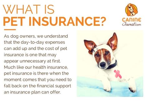 Pet Insurance Reviews