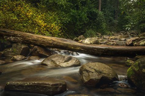 Log Bridge Photograph by Casual Images Photography - Fine Art America