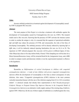 Formal proposal | PDF