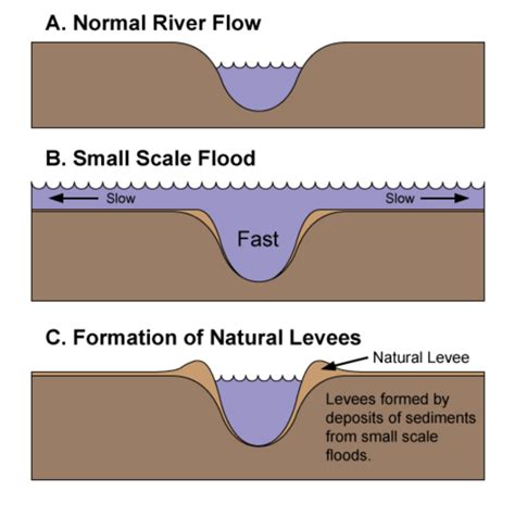 Natural Levee Diagram