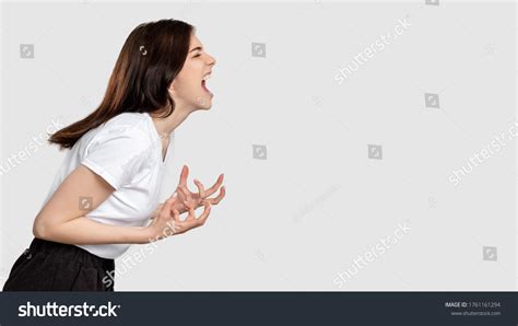 Mad Woman Portrait Horror Frustration Insane Stock Photo 1761161294 ...