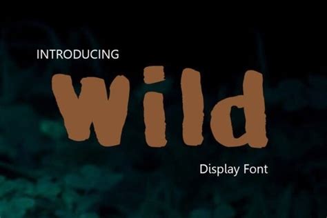 Wild Font - Free Font