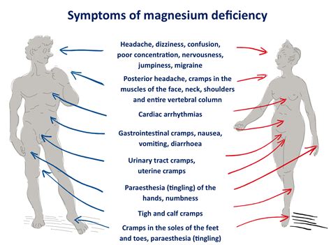 Magnesium Deficiency Symptoms - The Magnesium Guide