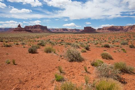 How to Visit the Valley of the Gods in Utah | Earth Trekkers