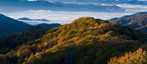 Exploring Oak Ridge, Tennessee: A Hidden Gem Of History And Nature