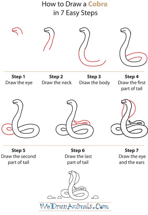 Step By Step How To Draw A Snake at Drawing Tutorials