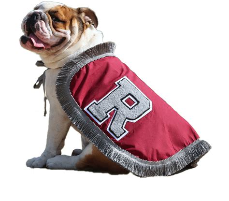 Bulldog Sticker by Addie - University of Redlands Mascot for iOS ...