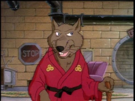 Master Splinter Cartoon