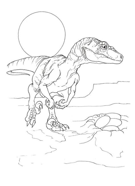 Velociraptor Coloring Pages - Dibujo Para Imprimir - Velociraptor ...