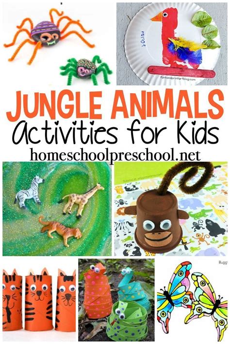 Fun Jungle Animal Activities for Preschoolers | Homeschool Preschoolrn ...