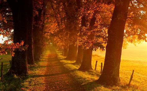 Autumn Scenery Wallpaper Hd