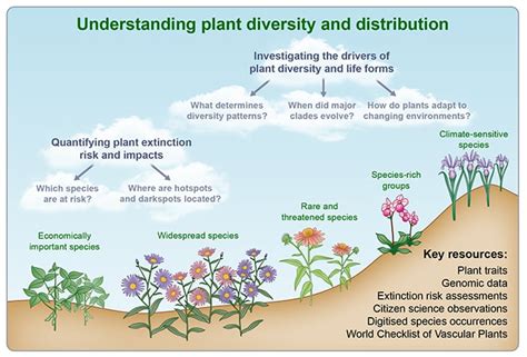 NPH: Global Plant Diversity and Distribution Special Collection