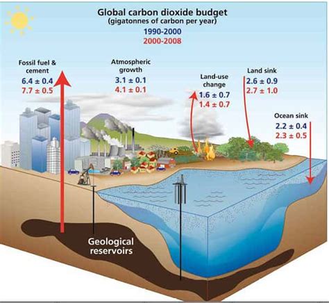 La rétroaction du CO2 : le cycle du carbone | Dossier