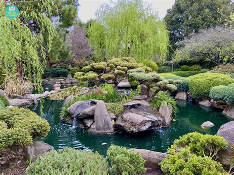 Explore the Tranquility of Adelaide's Japanese Garden