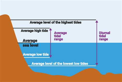 Types of tides