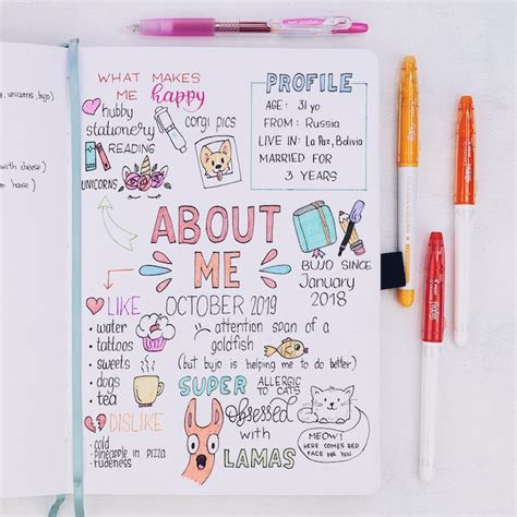 1001+ Amazingly Cute Bullet Journal Ideas For Beginners