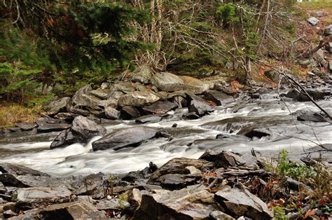 Native Fish and Their Habitats — Native Fish Coalition