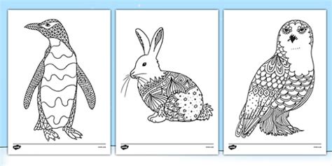 Polar Animals Mindfulness Colouring Sheets - arctic, animals