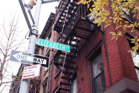 Elizabeth Street. If I were rich I would buy all my… | by lilyhaight ...