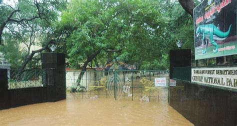 Guindy National Park - Holiday Landmark Blog