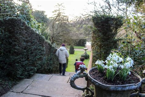 THE SNOWDROPS AT BENINGTON LORDSHIP