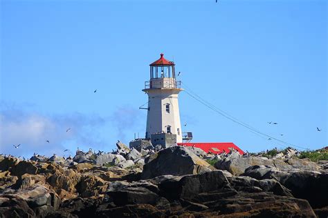 Machias Seal Island Lighthouse Photograph by John Burk