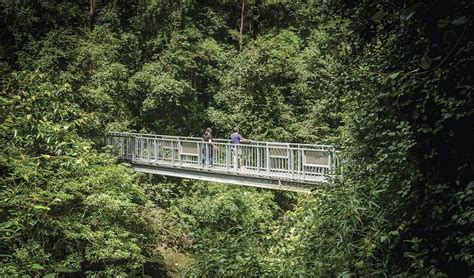 Barrington Tops National Park | NSW National Parks