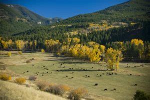 Montana Ranches For Sale Listings: Ranch, Farms, Ranchettes