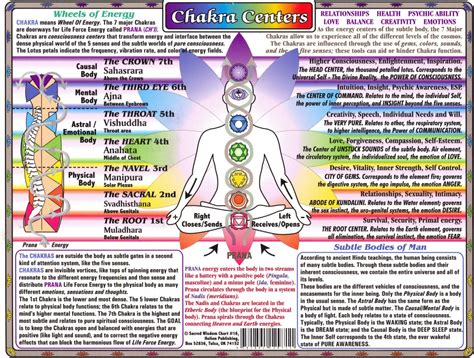 Chakras and their purpose | Miss New-Age