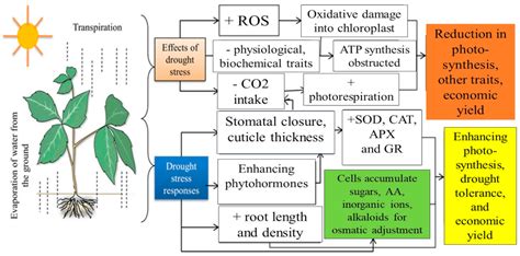 Which Activity Stresses the Demand Side of Water Supplies ...