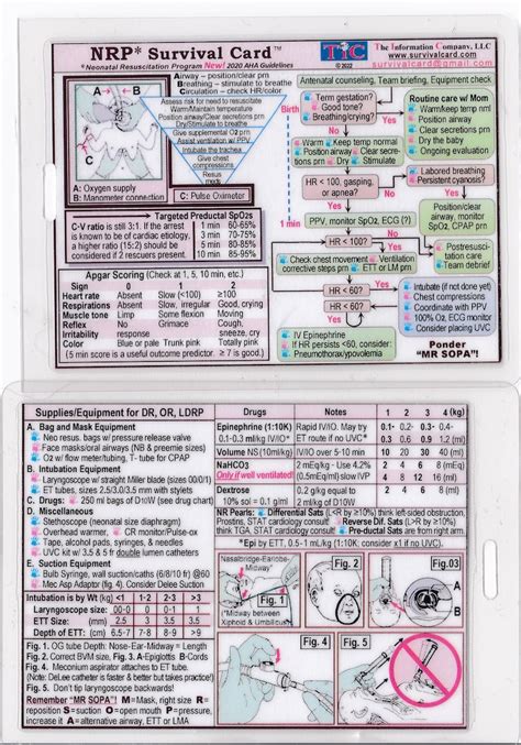 NRP neonatal Resuscitation Program SURVIVAL CARD Quick Reference Guide ...