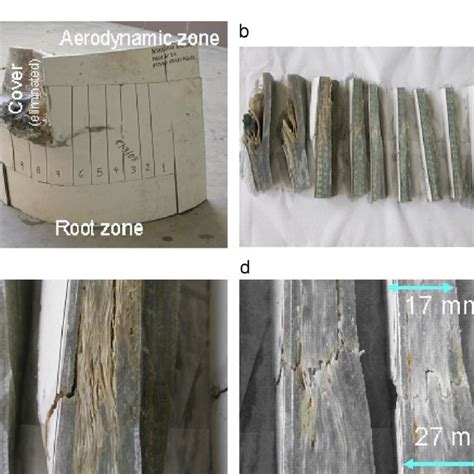 Details of the internal damage suffered by the blade. | Download ...