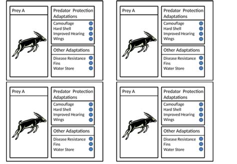 Natural Selection Game | Teaching Resources