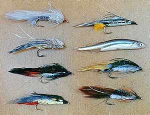 Tackle Tip: Rainbow Trout Lures - The Top 3 | Fishing Tackle & Stuff