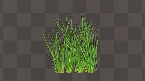 Green Grass Bush - download free texture atlases and decals, Substance ...