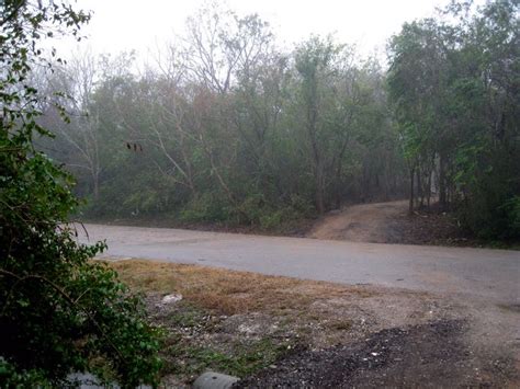 Baytown Nature Center Hike 12-18-2008 - Baytown, Texas