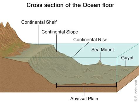 Vital Information About the Abyssal Plains That is Worth Reading