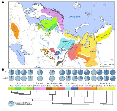 Geographic distribution of the Uralic-speaking populations and the ...