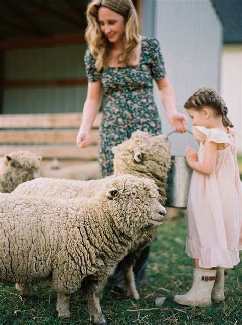 Babydoll Sheep: Everything You Need to Know | Everly & Raine Co.